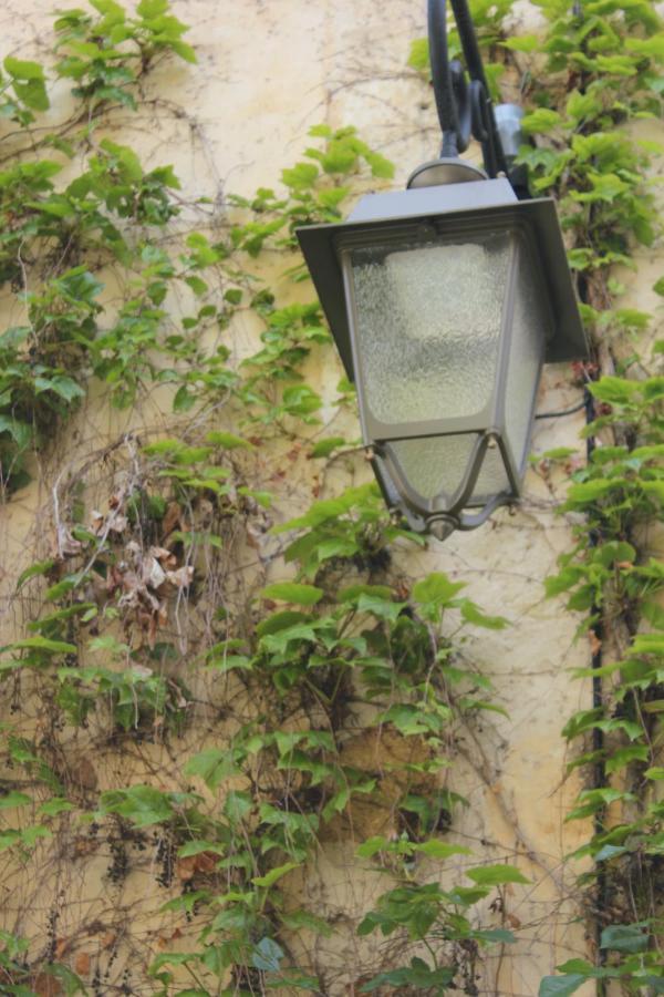 La Cour Villa Lourmarin Bagian luar foto